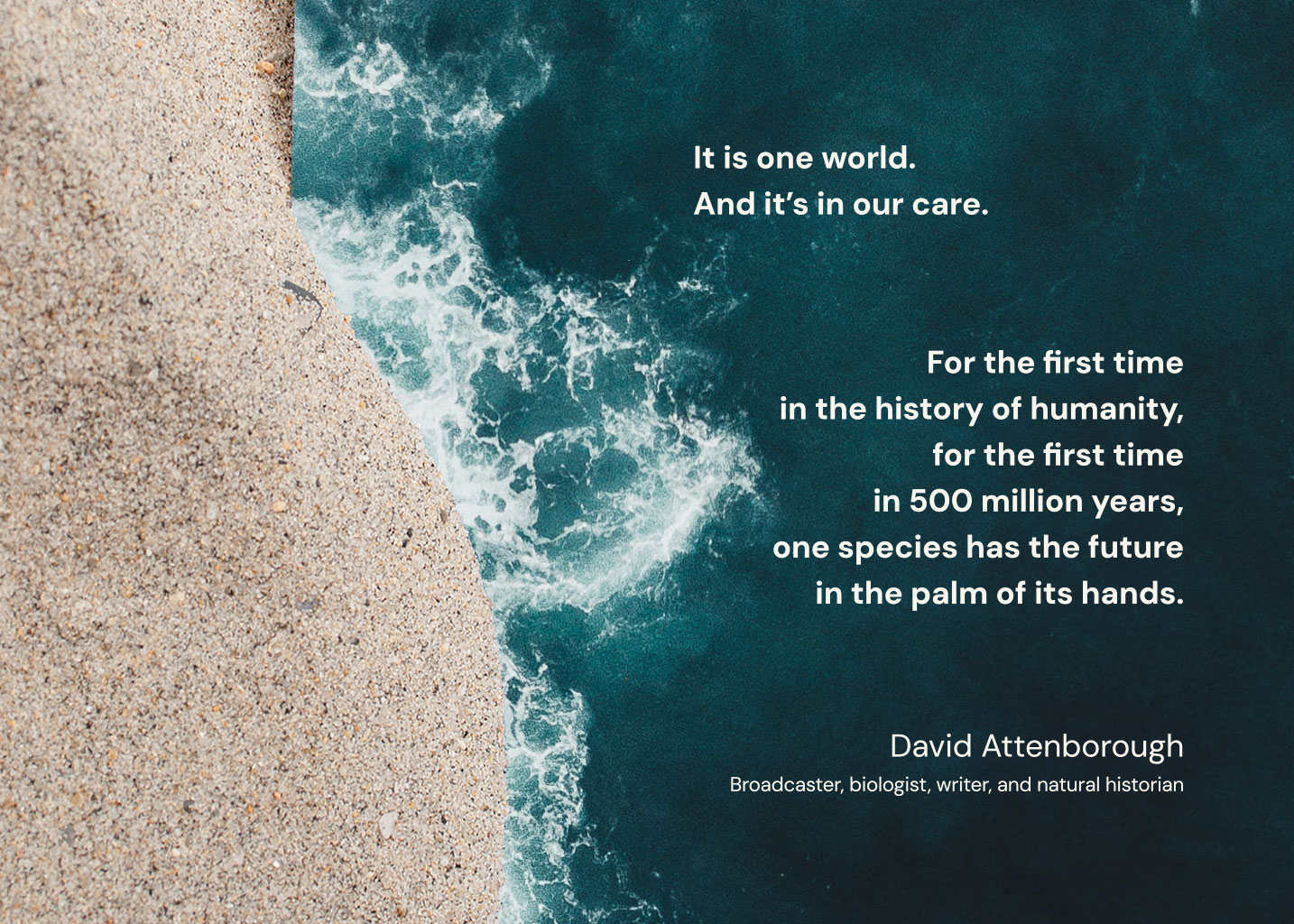 26-AREBrandUseLess_1434x1024-02David