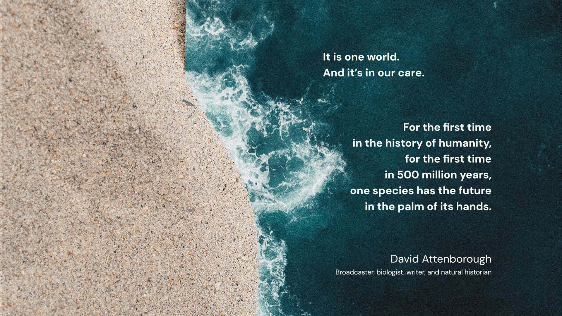 2026-kait-comunale-1920×1080-projects-are-useless-david-attenborough 2026-kait-comunale-1920×1080-projects-are-useless-david-attenborough